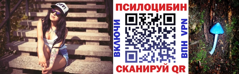 Псилоцибиновые грибы Psilocybe  Кызыл 