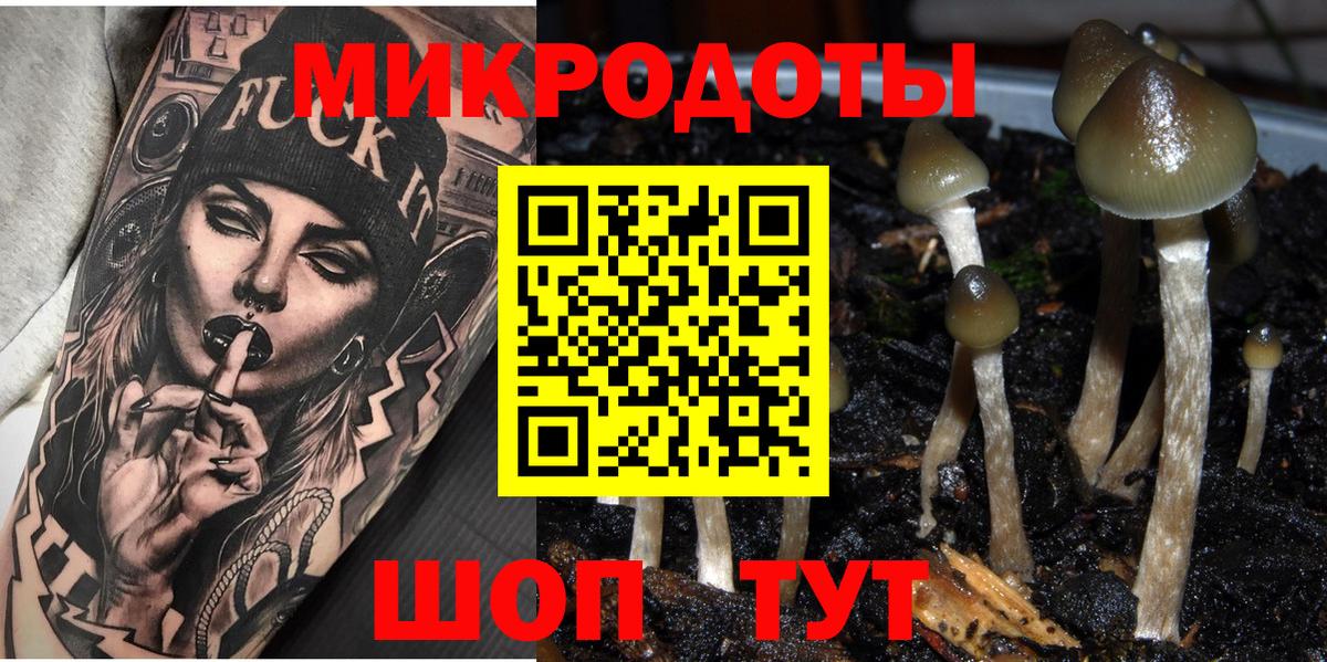 Псилоцибиновые грибы Psilocybe Кызыл