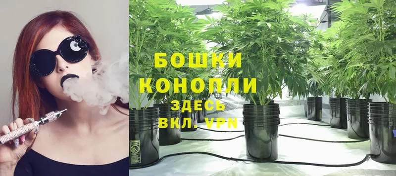 Каннабис Bruce Banner  Кызыл 